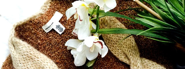 Anthropologie